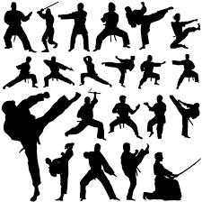 jigsaw mats for martial arts